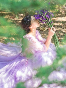 气质紫色薰衣草美女自然柔美迷人