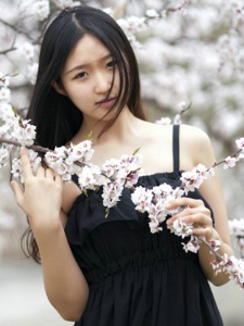 清秀白皙少女樱花树下的粉嫩迷人写真
