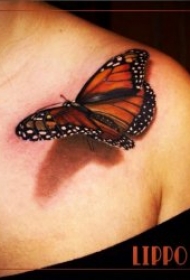 蝴蝶纹身图案 女生身上漂亮的立体蝴蝶纹身图案